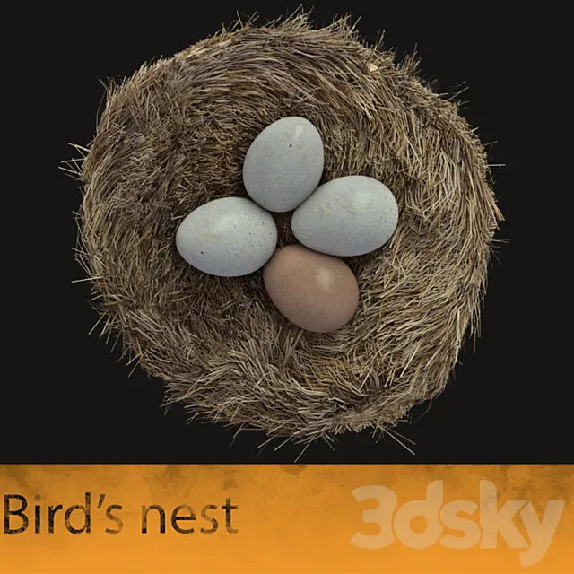 Bird’s nest 3DModel