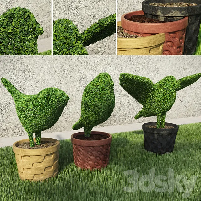 Birds – Shrubs 3D Model