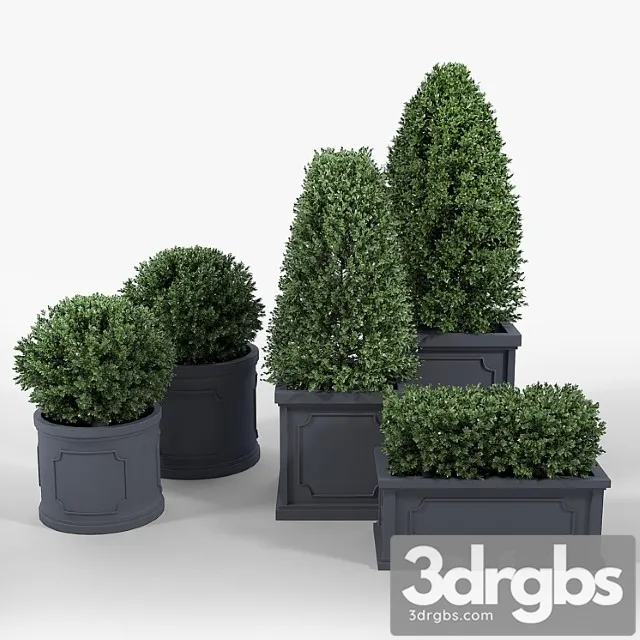 Birmingham planter collection Birmingham planter collection