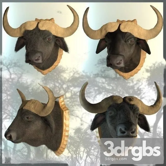 Bison Head On The Wall 3D Model Download