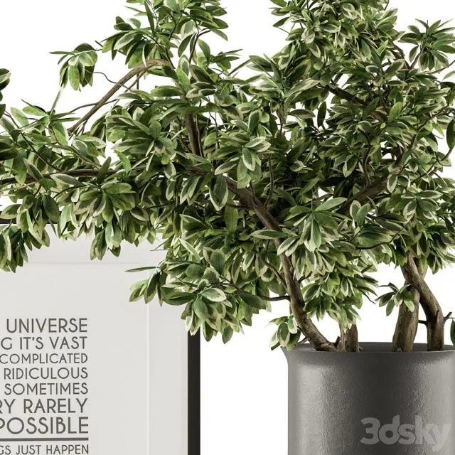 Black and Green Decorative Set with Plants – Set 77 3D Model