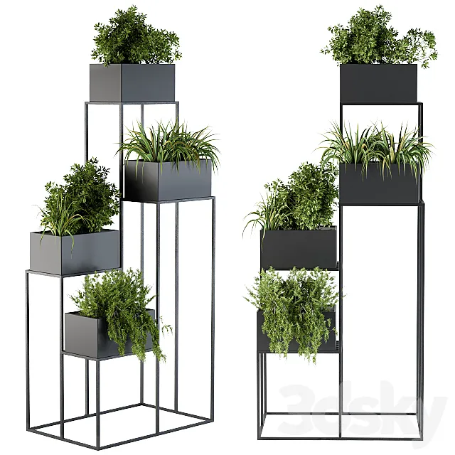 Black Box Plants on stand 3DModel