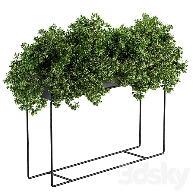 Black Box Plants on stand – Set 80 3D Model