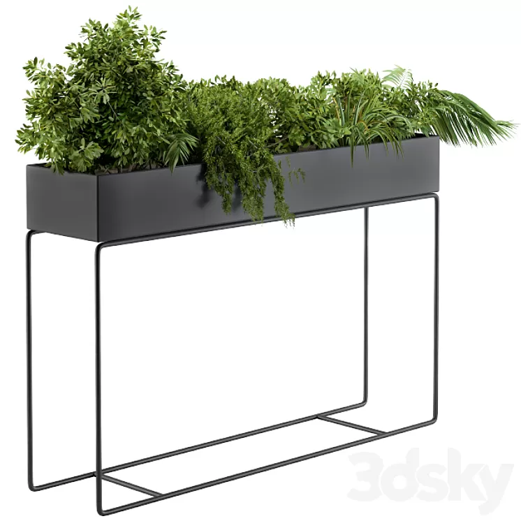 Black Box Plants on stand02 3D Model