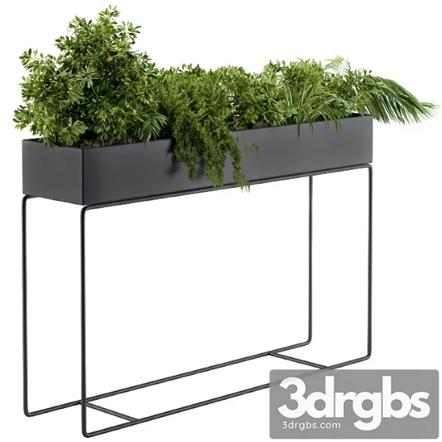 Black box plants on stand02