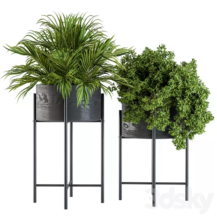 Black round plant box 03 3D Model - 3DSKY Decor Helper