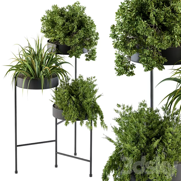 Black round plant box 3D Model