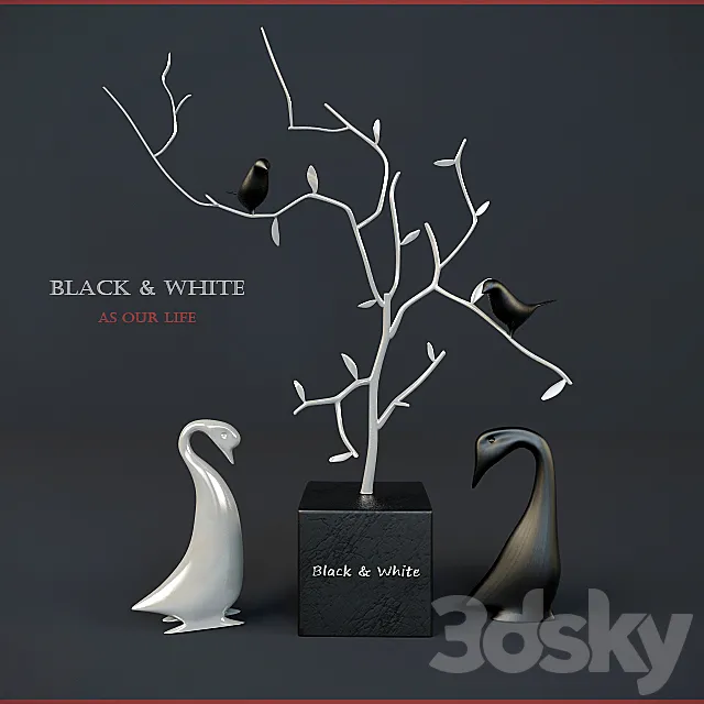 Black & White birds 3D Model Black & White birds 3D Model