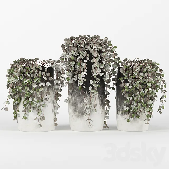 Black & White Ombre Cylinder Vase 3D Model Black & White Ombre Cylinder Vase 3D Model