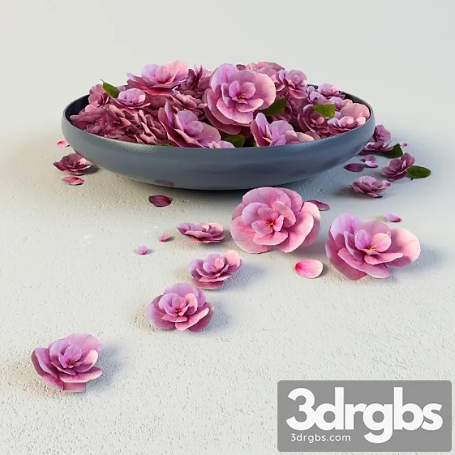 Bliudo Tsvietov 3D Model Download