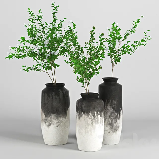 bloom 3DModel bloom 3DModel