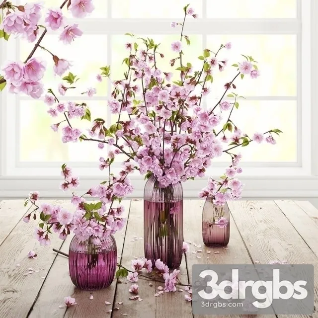 Blooming Cherry 3D Model Download