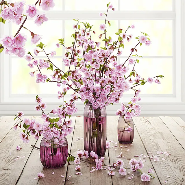 Blooming cherry 3DModel Blooming cherry 3DModel