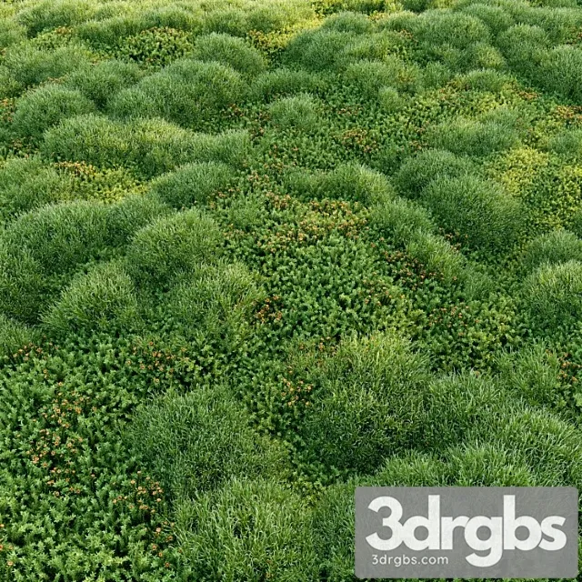 Blooming Moss 2 3D Model Download Blooming Moss 2 3D Model Download