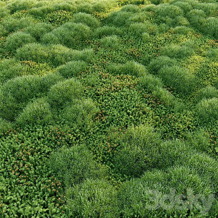 Blooming moss 2 3D Model Free Download