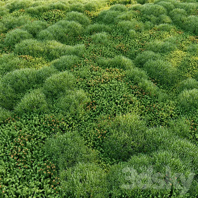 Blooming moss 2 3D Model Blooming moss 2 3D Model