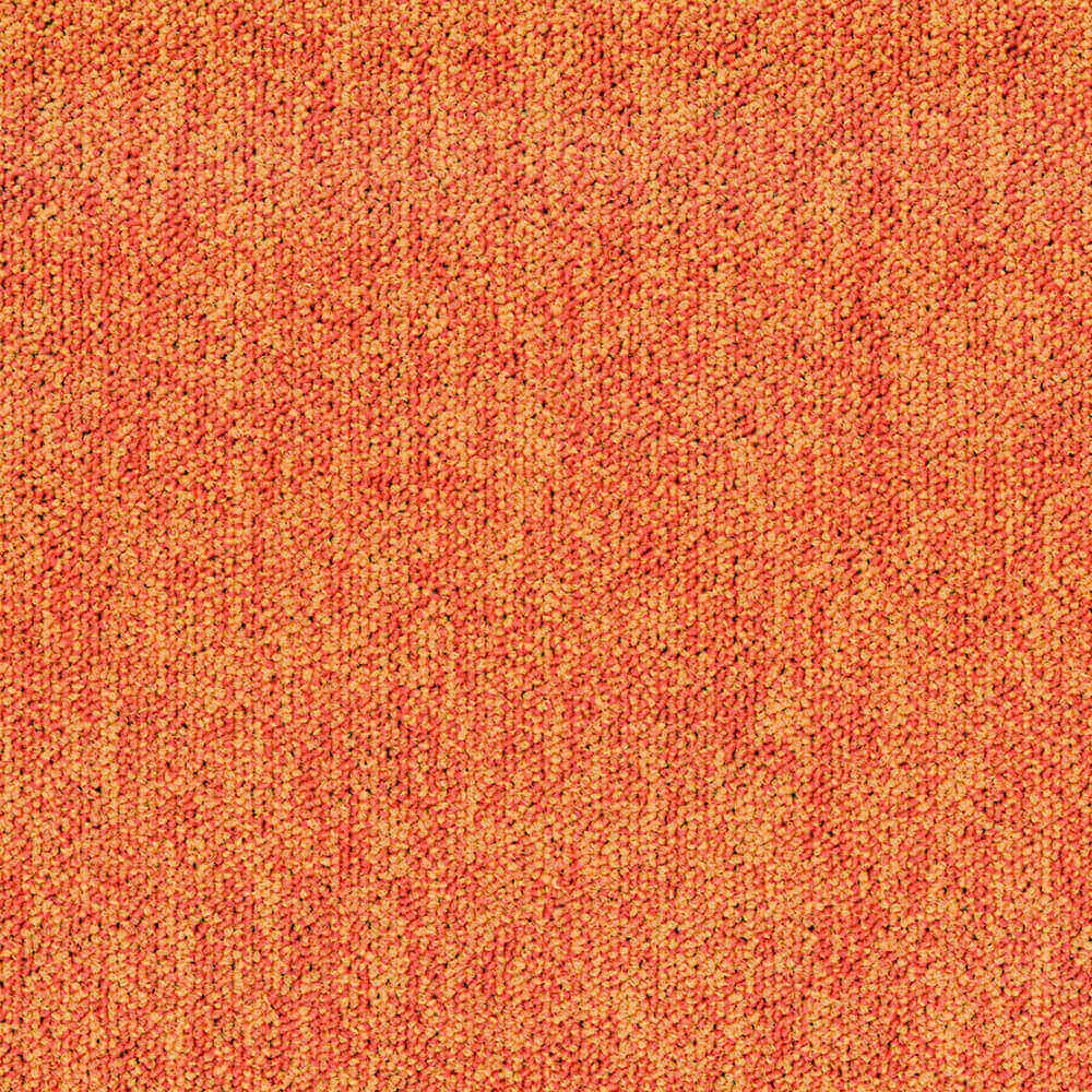 BLOQ – Carpeting Tradition_210 3D Model BLOQ – Carpeting Tradition_210 3D Model