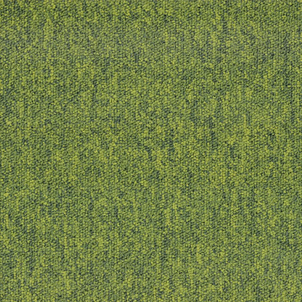 BLOQ – Carpeting Tradition_620 3D Model