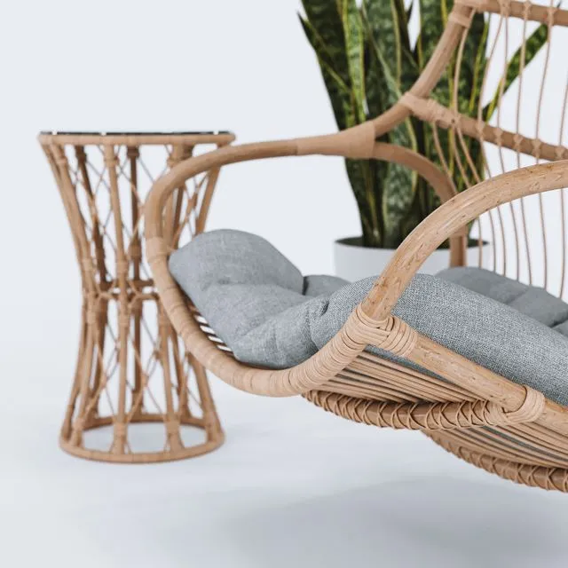 Blucher hanging chair plant & table 3D Model Blucher hanging chair plant & table 3D Model