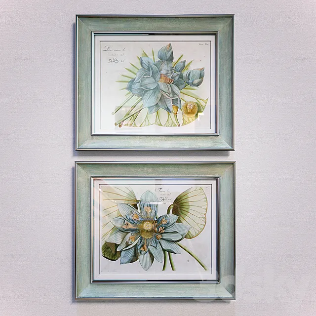 Blue Lotus Flower pictures 3D Model Blue Lotus Flower pictures 3D Model