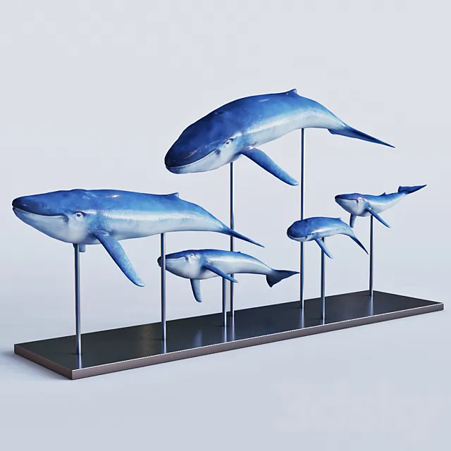 Blue whales 3D Model