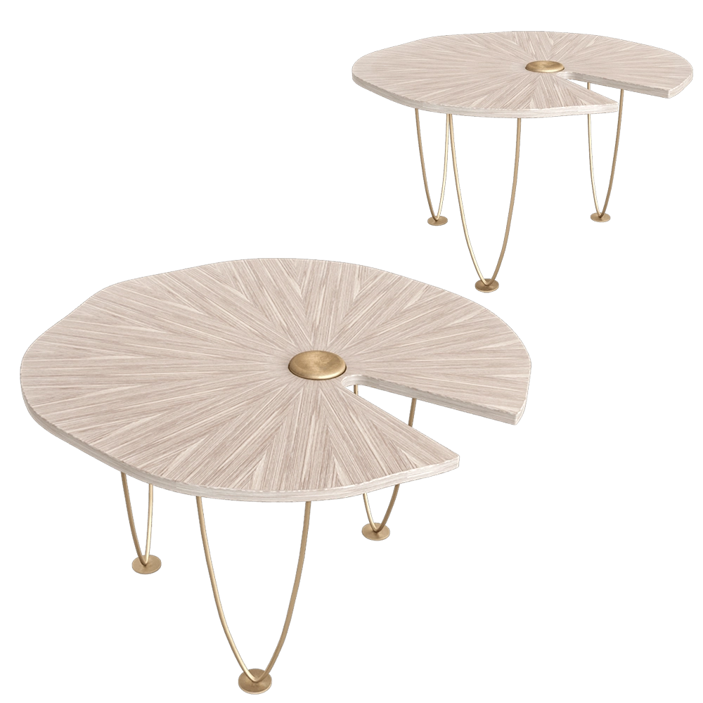 BOLLU – Table WATER LILY CT002 3D Model