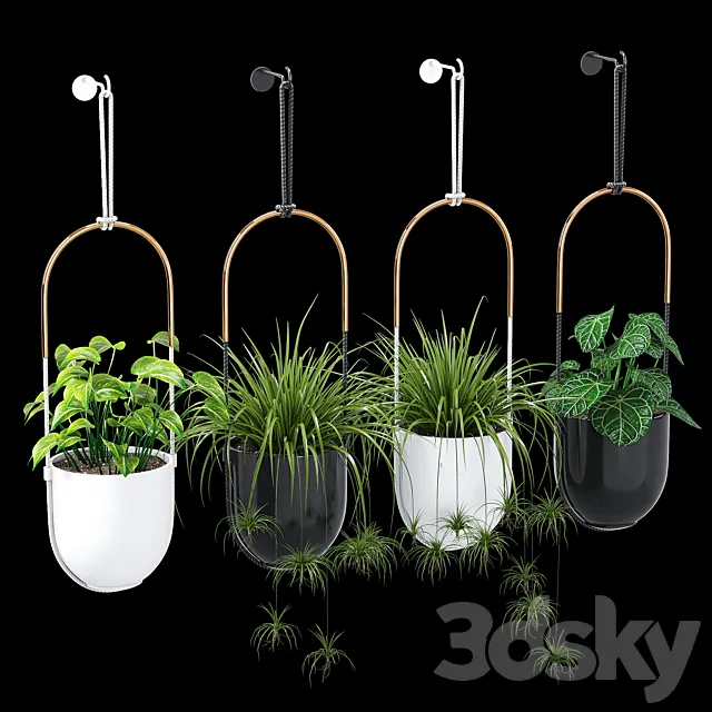 Bolo planter 3D Model