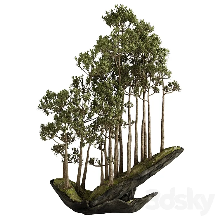 Bonsai 2 3D Model Free Download