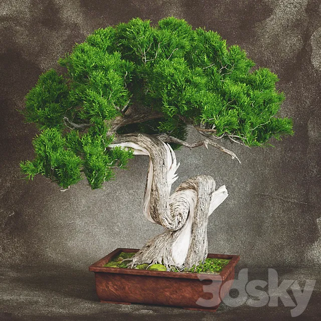Bonsai 2 3DModel Bonsai 2 3DModel