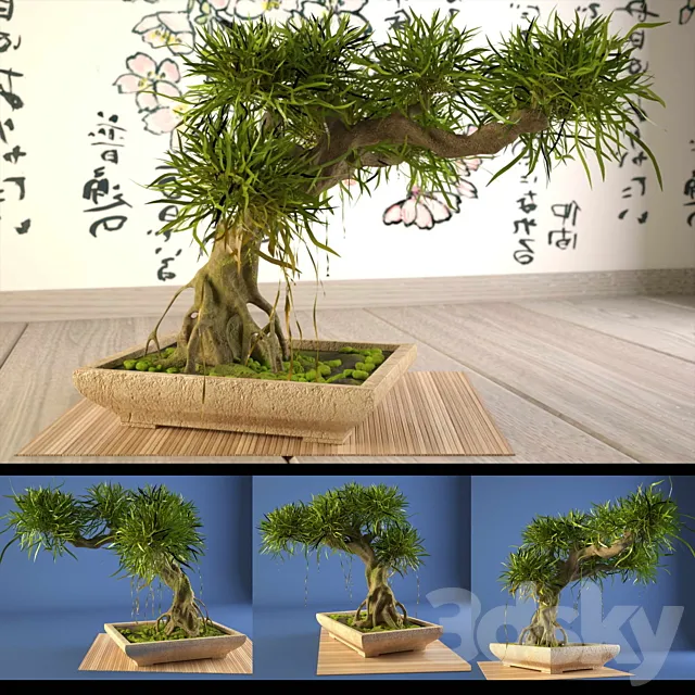 Bonsai 3DModel Bonsai 3DModel