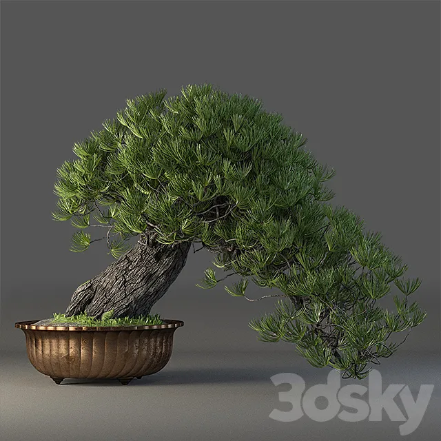 Bonsai 3DModel Bonsai 3DModel