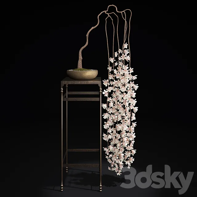 Bonsai-Magnolia 3D Model Bonsai-Magnolia 3D Model