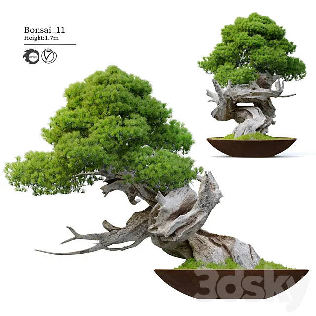 Bonsai plant 11 3D Model Bonsai plant 11 3D Model