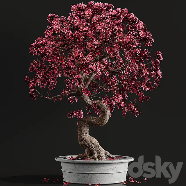 Bonsai plant 3DModel Bonsai plant 3DModel