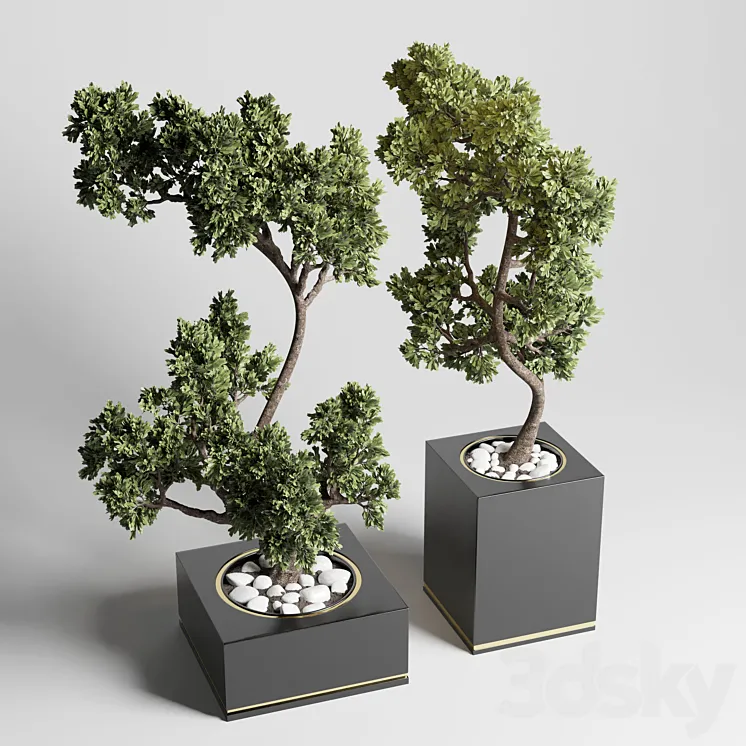 bonsai pot concrete vase pot tree 3D Model Free Download