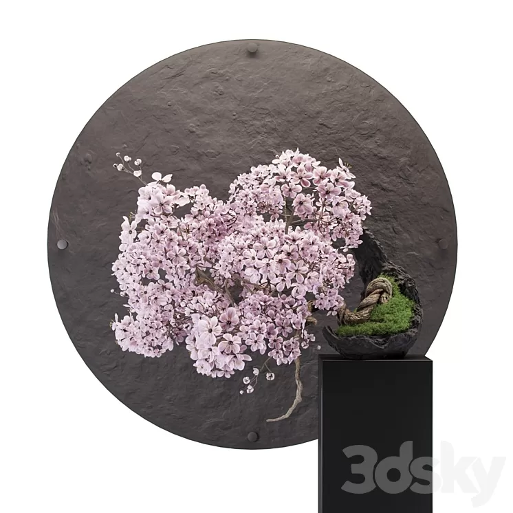 Bonsai sakura 3D Model