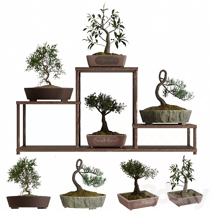 Bonsai set 3D Model