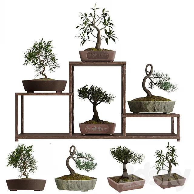 Bonsai set 3DModel