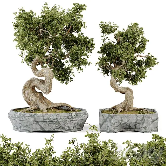 Bonsai Set Vol 01 3D Model Bonsai Set Vol 01 3D Model