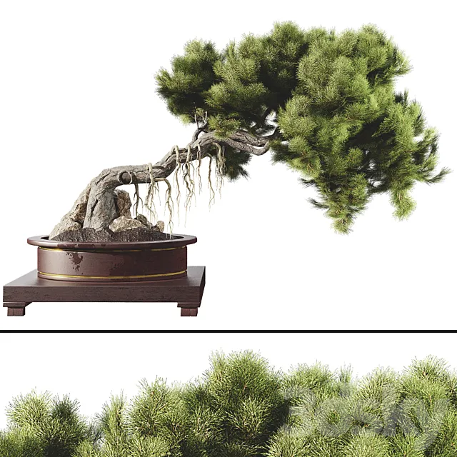 Bonsai tree 58 3DModel Bonsai tree 58 3DModel