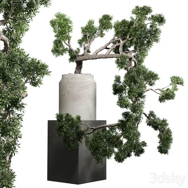 bonsai tree vase old concrete dirt pot 3D Model bonsai tree vase old concrete dirt pot 3D Model