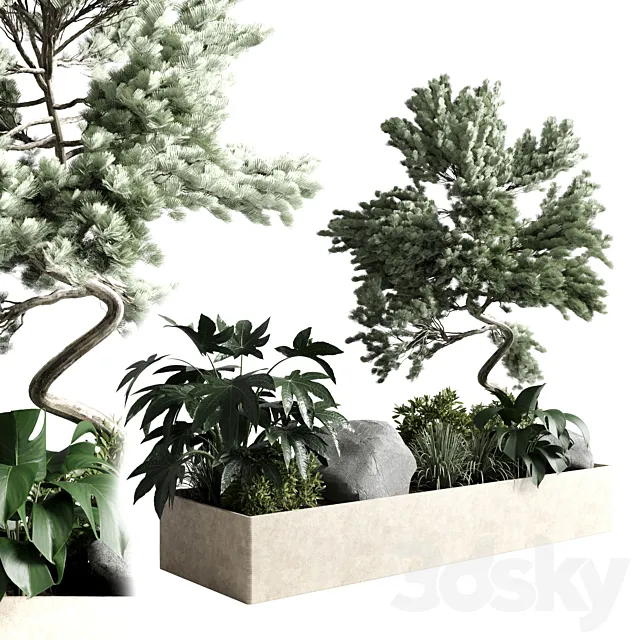 bonsai tree with plants set in the garden 290 corona 3DModel
