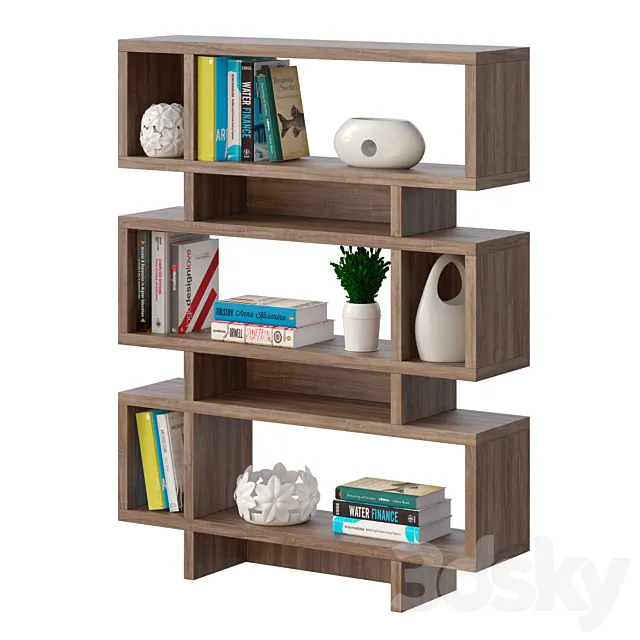 Bookcase with decor 3DModel