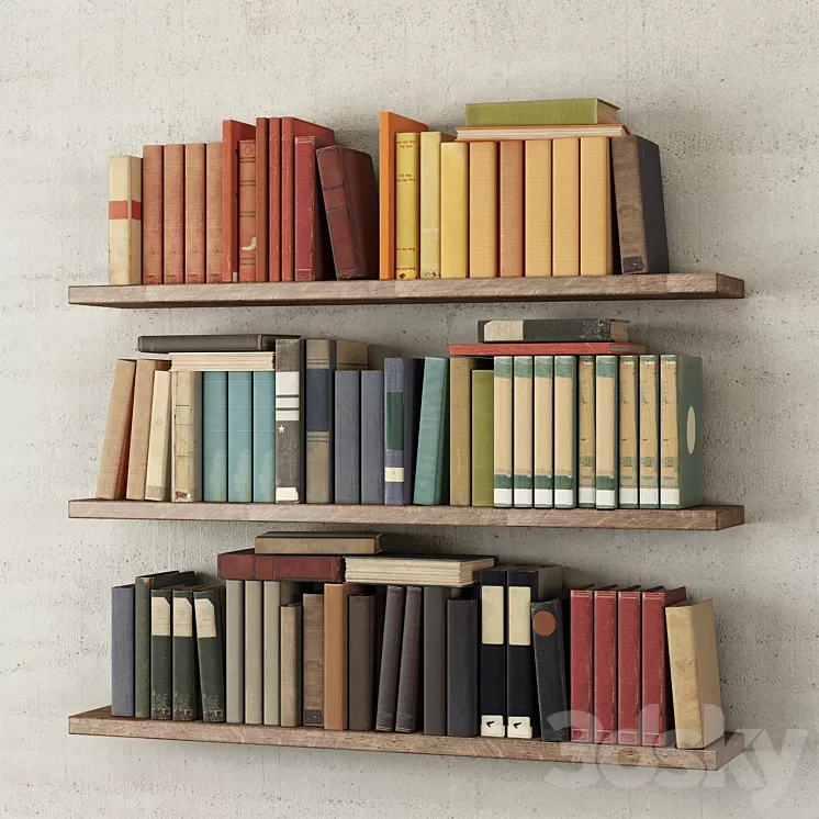 Books on the shelf 3D Model