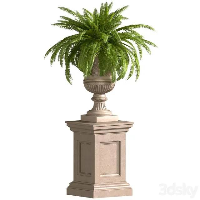 Boston Fern in a classic flowerpot 3D Model