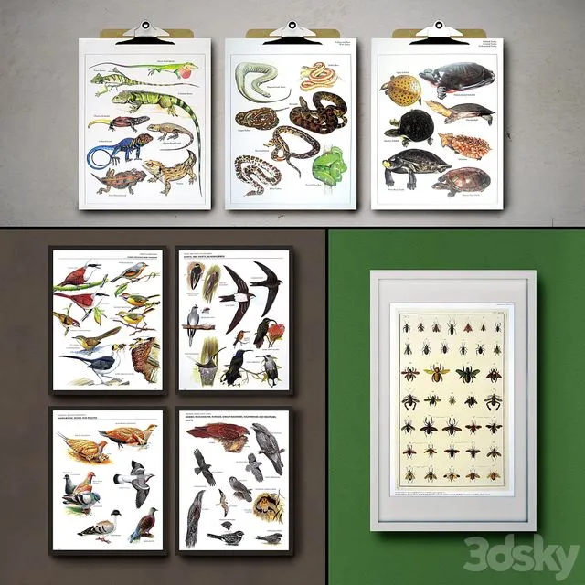 Botanical Vintage Book Pages. 24 Prints (set 3) 3D Model Botanical Vintage Book Pages. 24 Prints (set 3) 3D Model