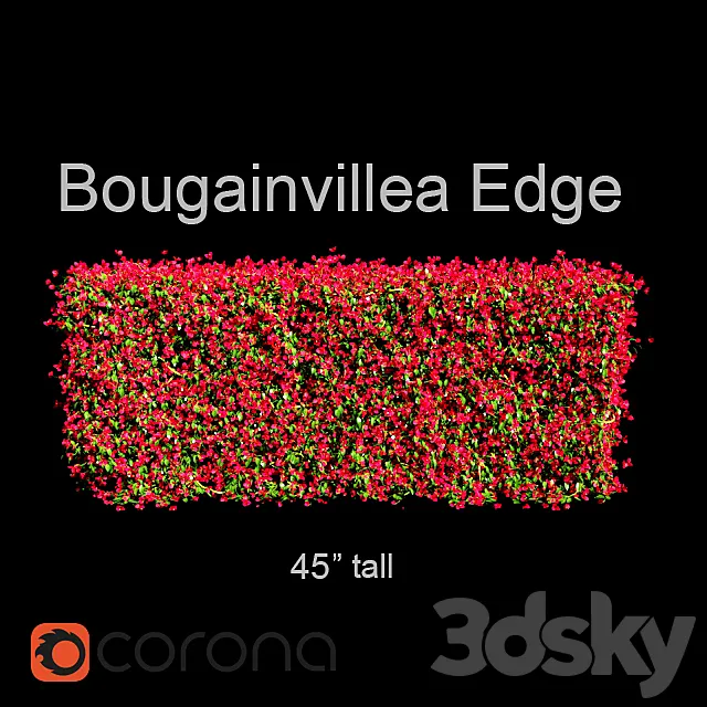 Bougainvillea Edge Bush 3D Model