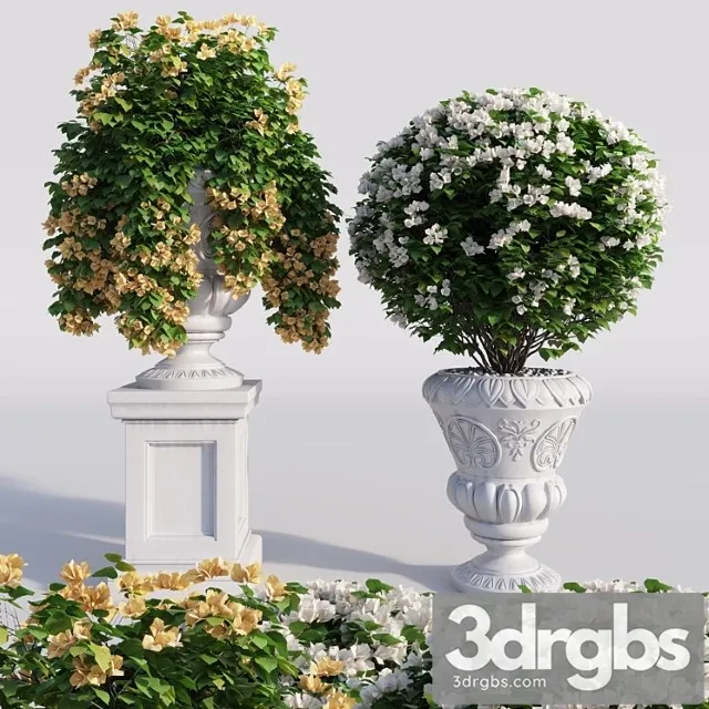 Bougainvillea Planter Set 1 3D Model Download Bougainvillea Planter Set 1 3D Model Download