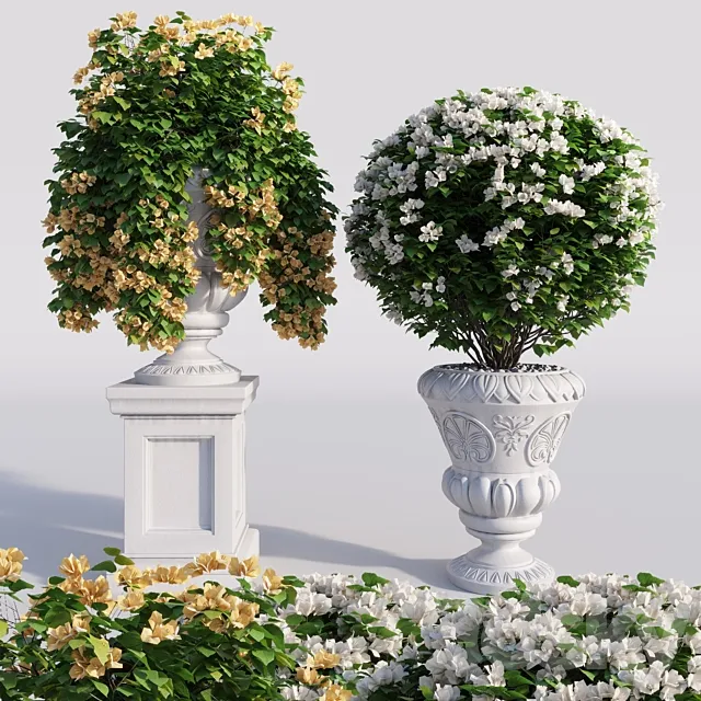Bougainvillea planter set. 3DModel Bougainvillea planter set. 3DModel