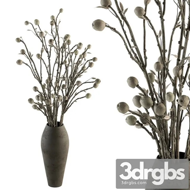 Bouquet 32 Dried Plant Papavet Bouquet 3D Model Download Bouquet 32 Dried Plant Papavet Bouquet 3D Model Download
